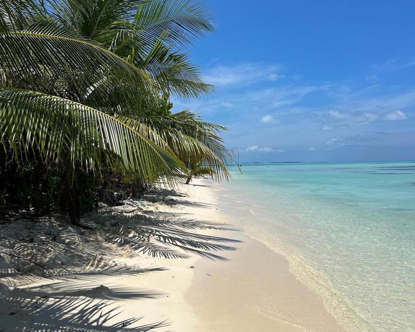 Heron Beach Hotel - The Best Maldivian Getaway In Dhiffushi,Maldives 외부 사진