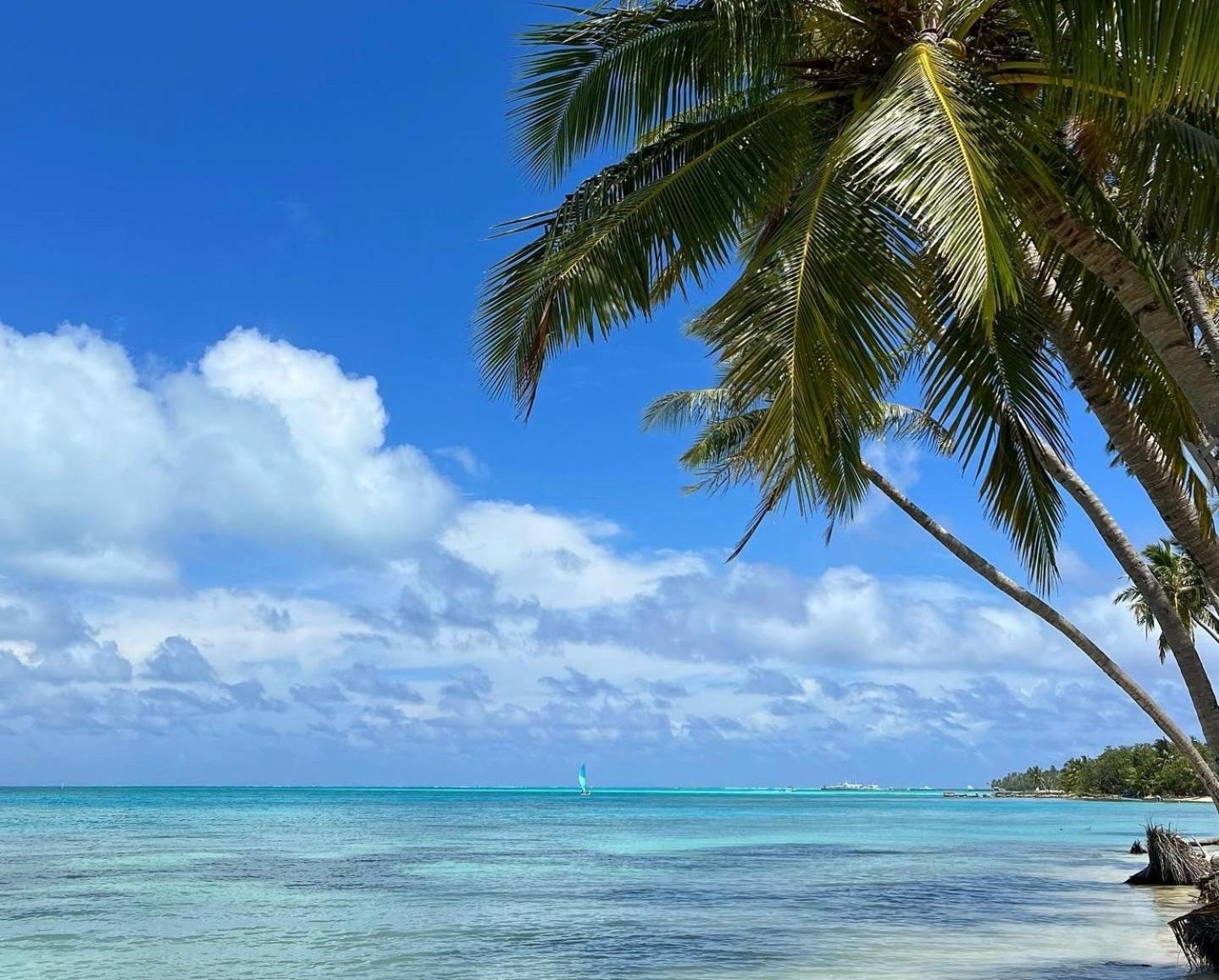 Heron Beach Hotel - The Best Maldivian Getaway In Dhiffushi,Maldives 외부 사진