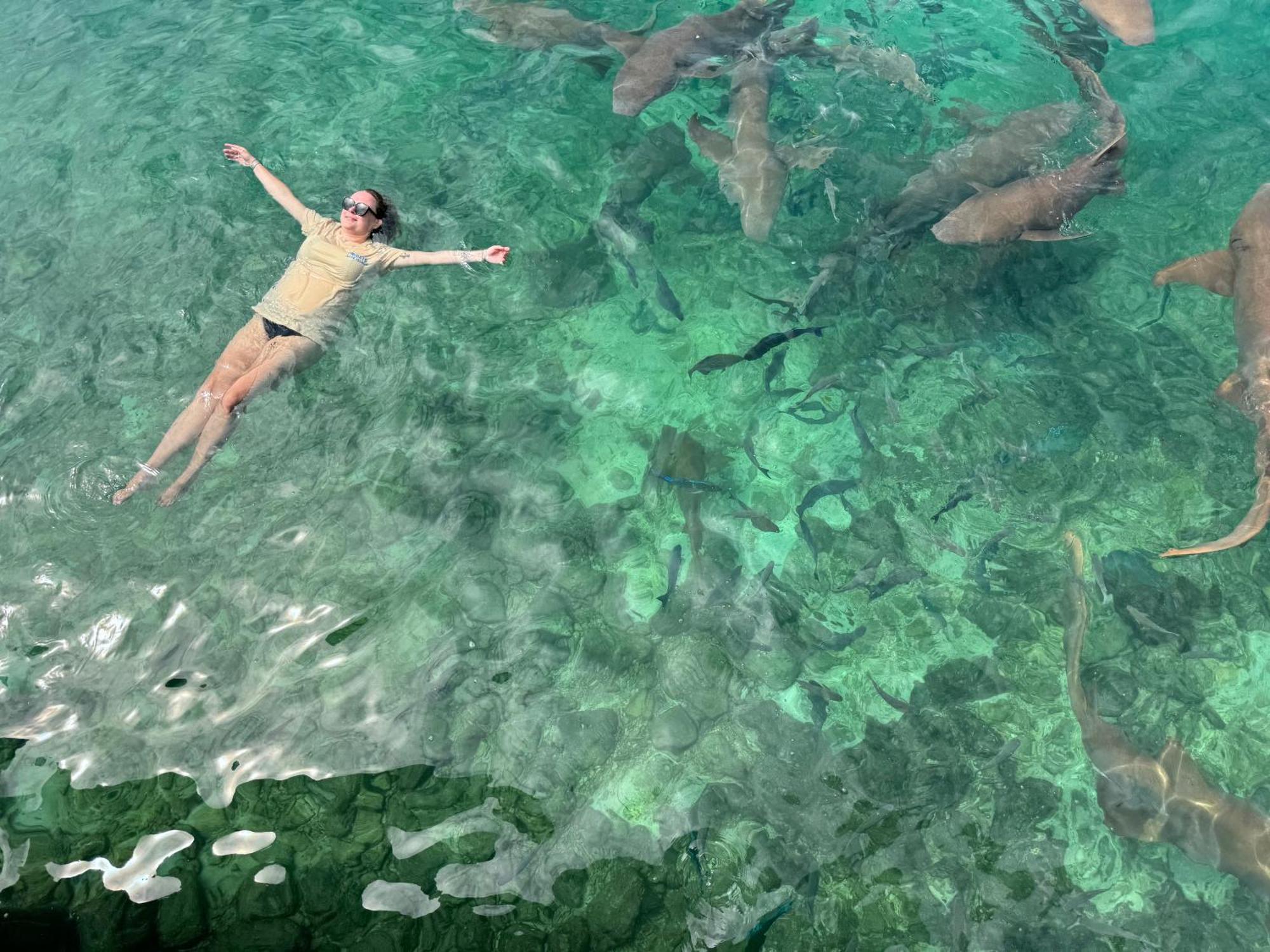 Heron Beach Hotel - The Best Maldivian Getaway In Dhiffushi,Maldives 외부 사진